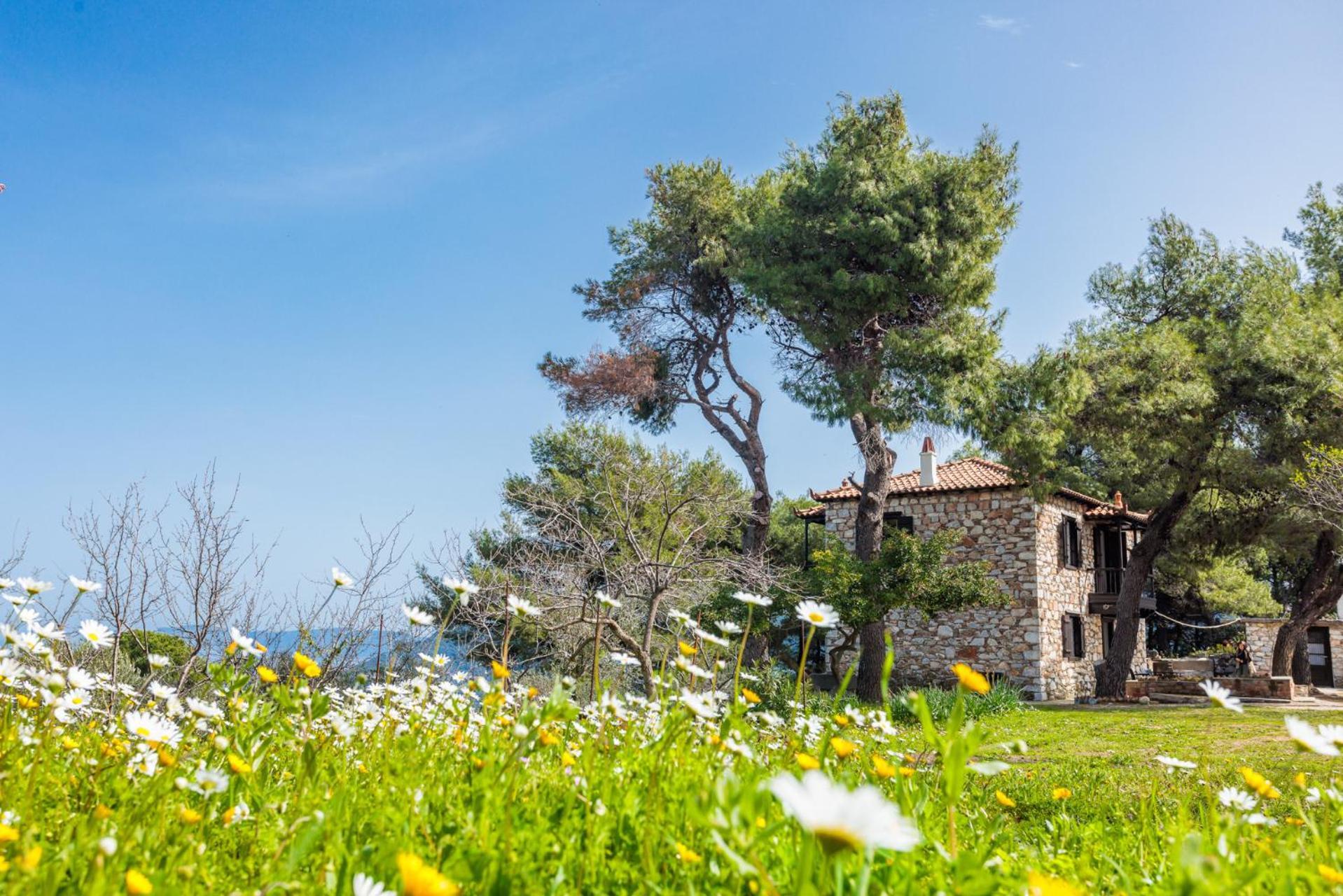 Elli Cottage Skopelos Town Ngoại thất bức ảnh
